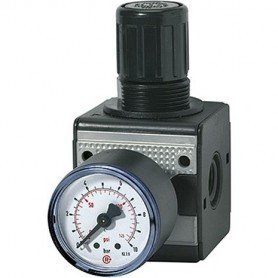 REGULADOR PRESIóN MULTIFIX CON MANóMETRO BG3 0,5-10BAR G1/2" RIEGLER